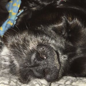 Meet your Posher, Tracy